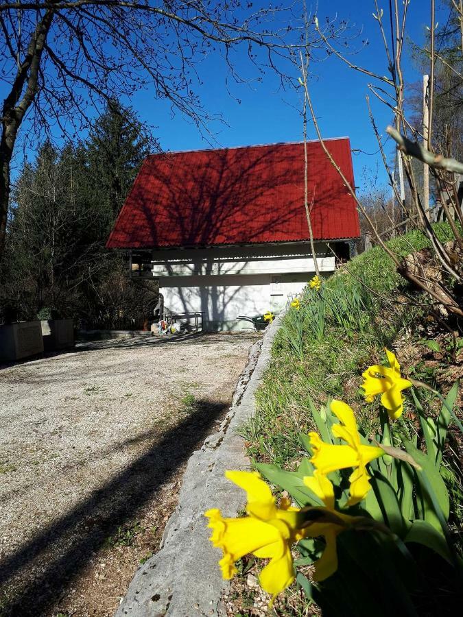 Villa House Franja Kranjska Gora Exterior foto